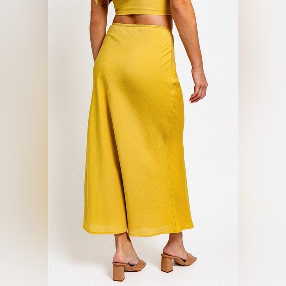 NWT-V-Neck back Tie Crop Top & Bias Maxi Skirt Set - Picture 7 of 10